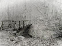 Wooden Foot Bridge