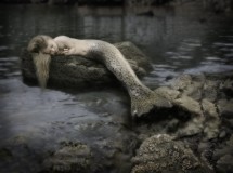 Mermaid