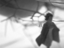 Commuters and Wanderers