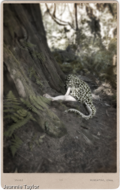 fallen snake