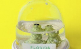 Alligator Snowdome