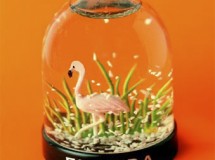 Flamingo Snowdome