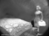 jeannietaylor-19