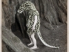 jeannietaylor-2