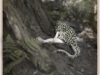 jeannietaylor-3