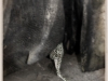 jeannietaylor-4