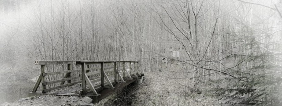 Wooden Foot Bridge
