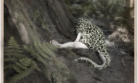 Fallen Snake