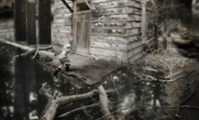 Abode